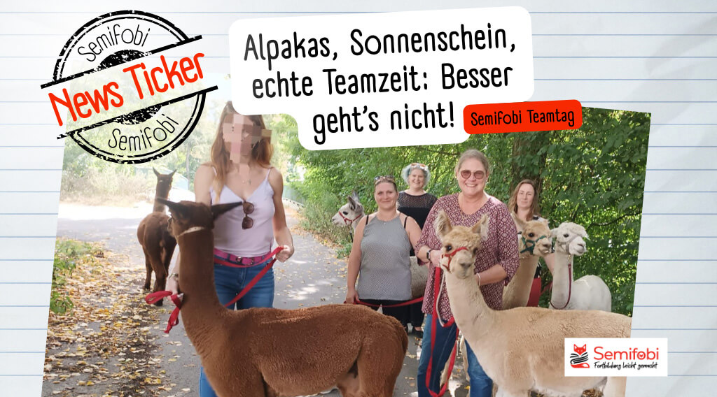 Alpakas, Sonnenschein, echte Teamzeit: Besser geht’s nicht!